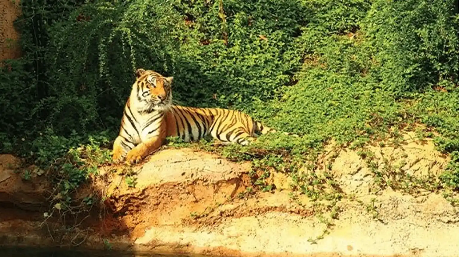 Kumbhalgarh Wildlife Sanctuary